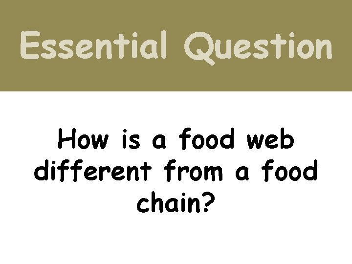 Essential Question How is a food web different from a food chain? 