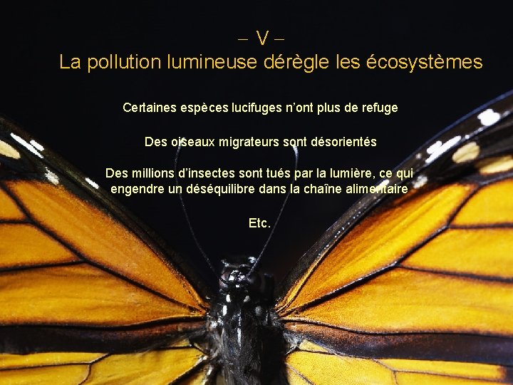 - V La pollution lumineuse dérègle les écosystèmes Certaines espèces lucifuges n’ont plus de