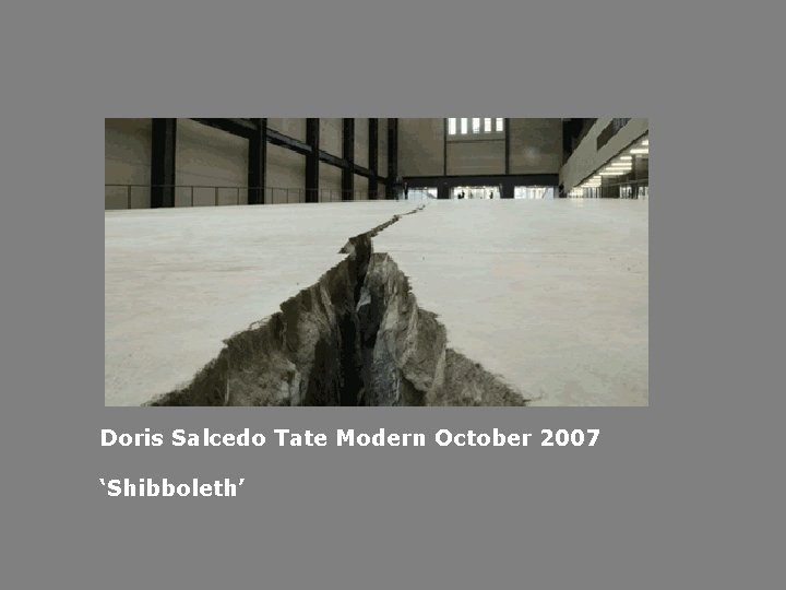 Doris Salcedo Tate Modern October 2007 ‘Shibboleth’ 