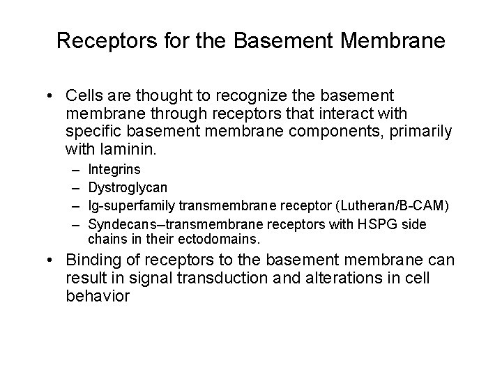 Receptors for the Basement Membrane • Cells are thought to recognize the basement membrane
