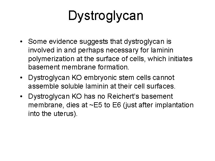 Dystroglycan • Some evidence suggests that dystroglycan is involved in and perhaps necessary for