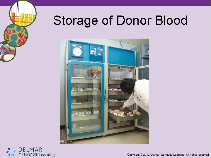 Storage of Donor Blood 