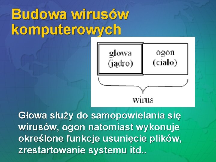 Budowa wirusów komputerowych Głowa służy do samopowielania się wirusów, ogon natomiast wykonuje określone funkcje Budowa wirusów komputerowych Głowa służy do samopowielania się wirusów, ogon natomiast wykonuje określone funkcje