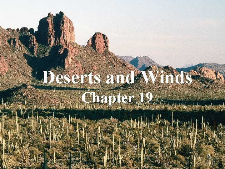 Deserts and Winds Chapter 19 