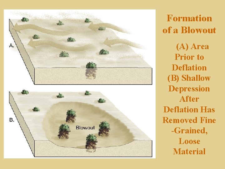 Formation of a Blowout (A) Area Prior to Deflation (B) Shallow Depression After Deflation