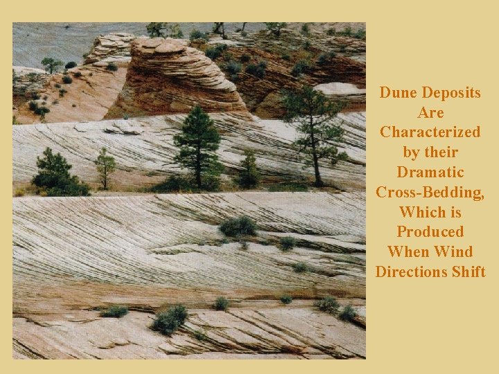 Dune Deposits Are Characterized by their Dramatic Cross-Bedding, Which is Produced When Wind Directions