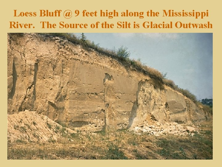 Loess Bluff @ 9 feet high along the Mississippi River. The Source of the