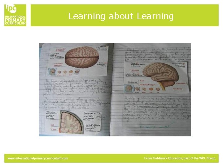 Learning about Learning 