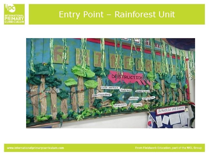 Entry Point – Rainforest Unit 