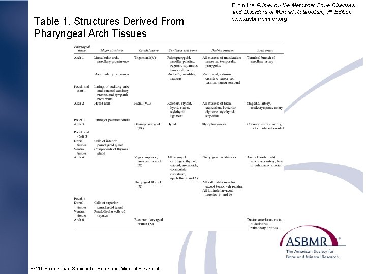 Table 1. Structures Derived From Pharyngeal Arch Tissues © 2008 American Society for Bone