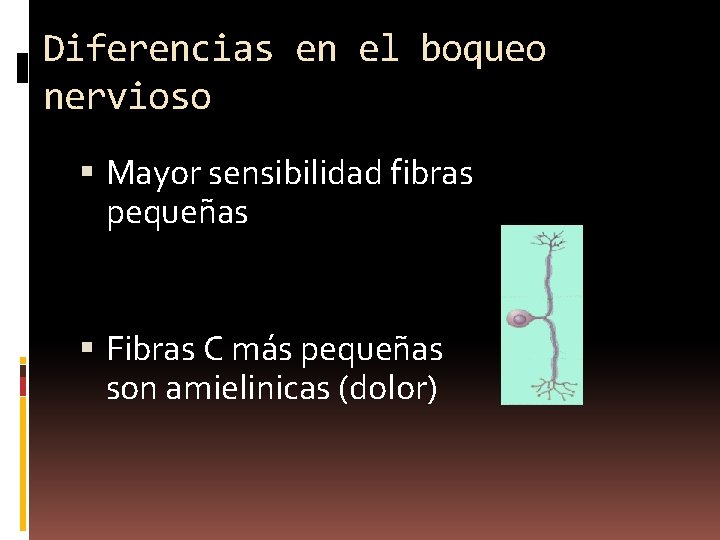 Diferencias en el boqueo nervioso Mayor sensibilidad fibras pequeñas Fibras C más pequeñas son