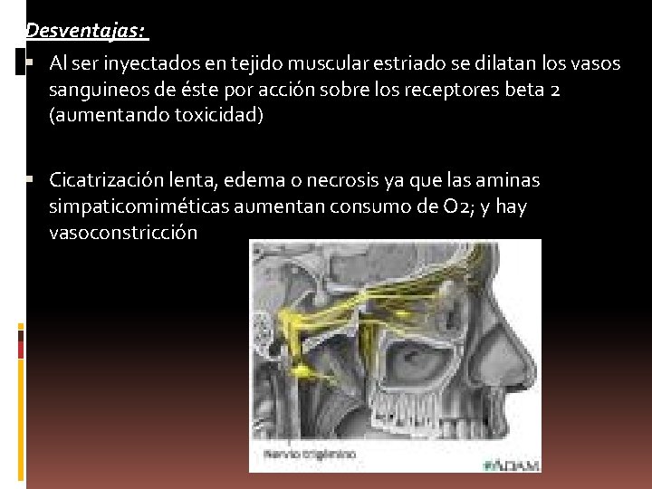 Desventajas: Al ser inyectados en tejido muscular estriado se dilatan los vasos sanguineos de