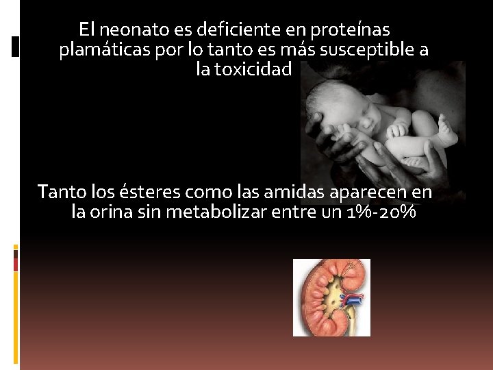 El neonato es deficiente en proteínas plamáticas por lo tanto es más susceptible a