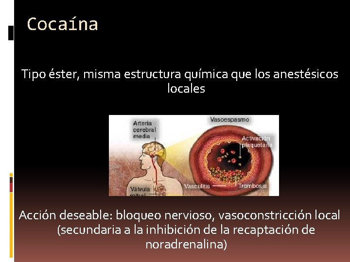 Cocaína Tipo éster, misma estructura química que los anestésicos locales Acción deseable: bloqueo nervioso,