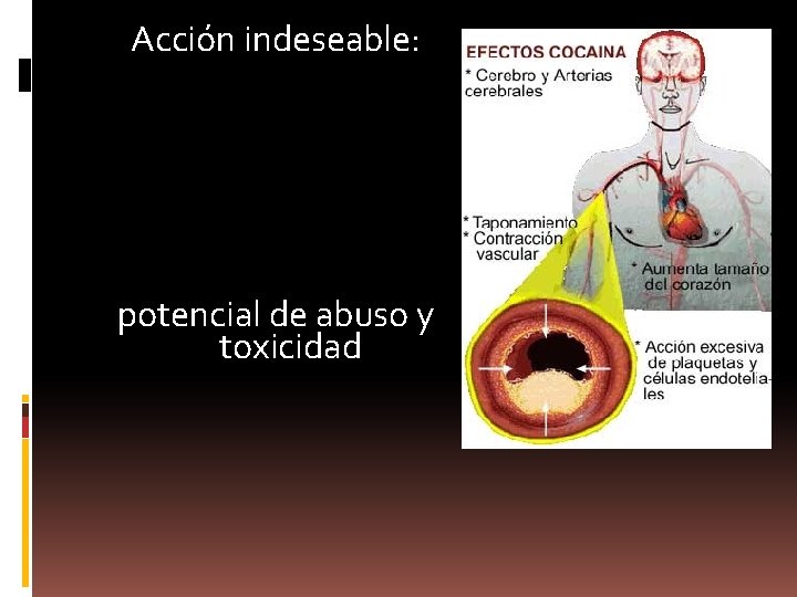 Acción indeseable: potencial de abuso y toxicidad 