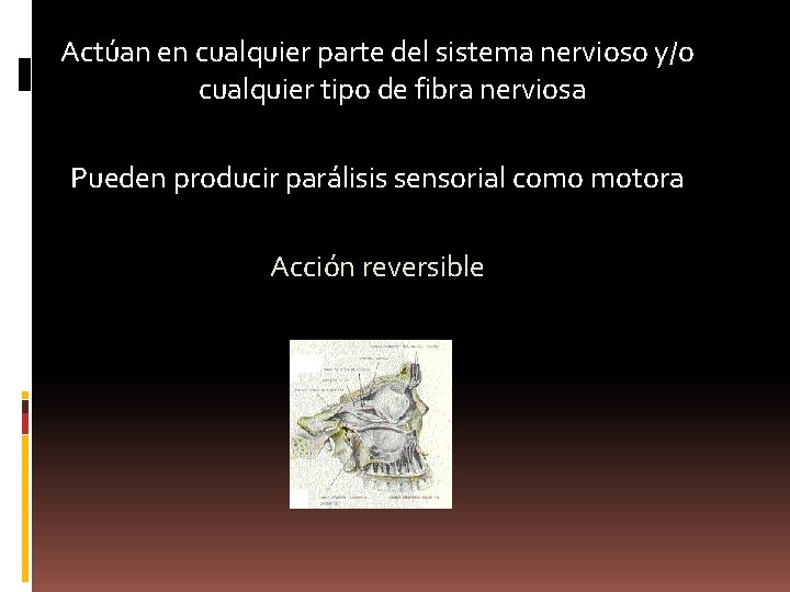 Actúan en cualquier parte del sistema nervioso y/o cualquier tipo de fibra nerviosa Pueden