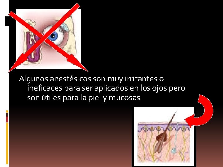 Algunos anestésicos son muy irritantes o ineficaces para ser aplicados en los ojos pero