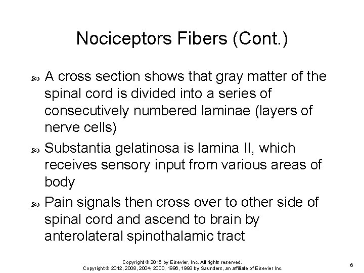 Nociceptors Fibers (Cont. ) A cross section shows that gray matter of the spinal