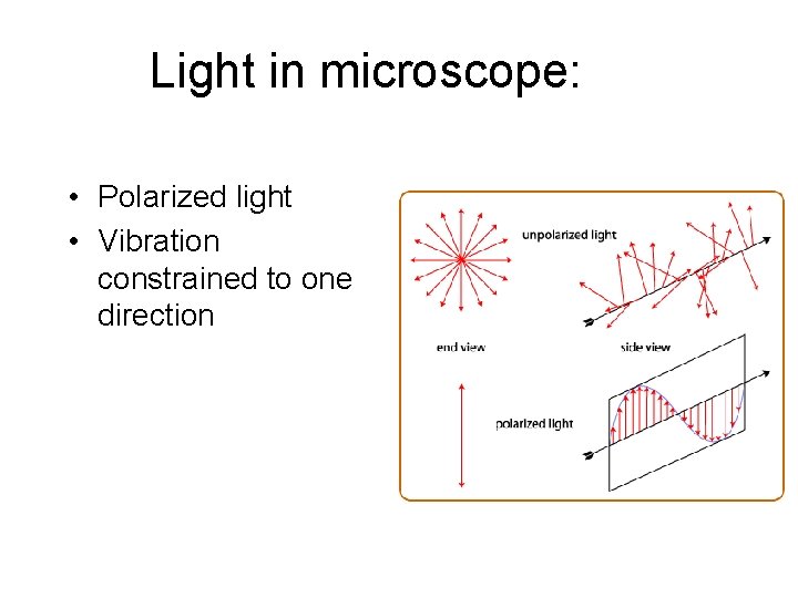 Light in microscope: • Polarized light • Vibration constrained to one direction 