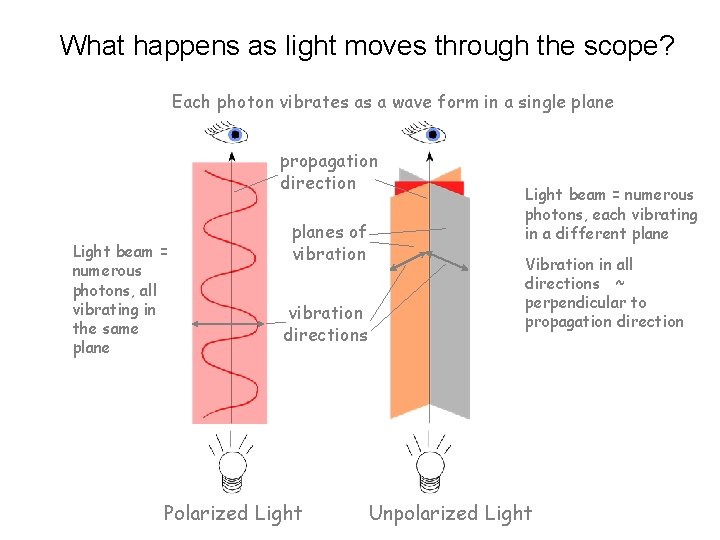 What happens as light moves through the scope? Each photon vibrates as a wave