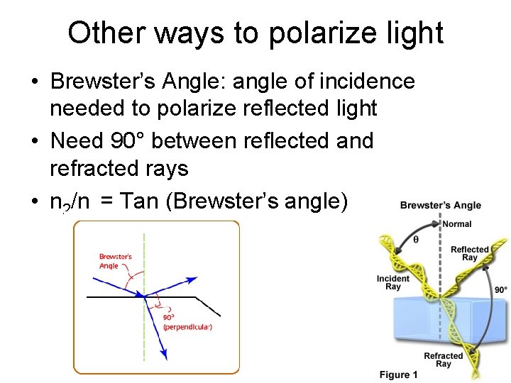 Other ways to polarize light • Brewster’s Angle: angle of incidence needed to polarize
