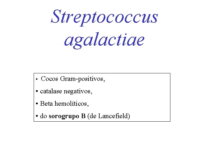 Streptococcus agalactiae • Cocos Gram-positivos, • catalase negativos, • Beta hemolíticos, • do sorogrupo