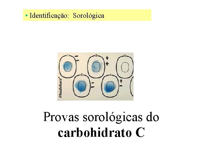  • Identificação: Sorológica Provas sorológicas do carbohidrato C 