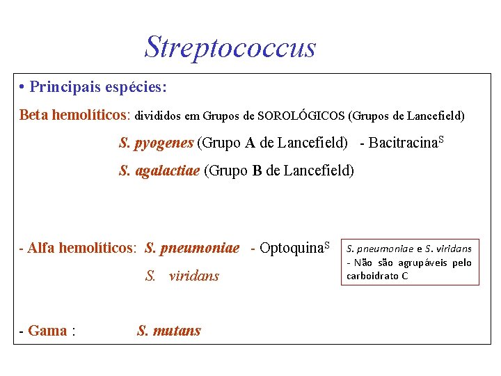 Streptococcus • Principais espécies: Beta hemolíticos: divididos em Grupos de SOROLÓGICOS (Grupos de Lancefield)