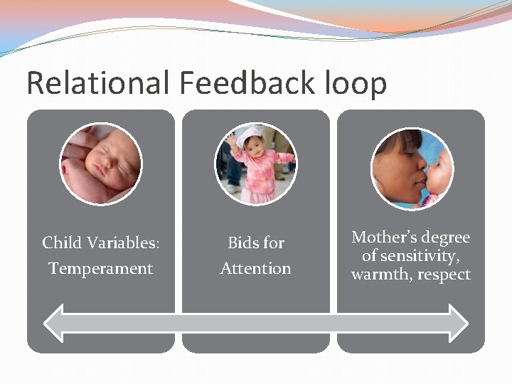 Relational Feedback loop Child Variables: Bids for Temperament Attention Mother’s degree of sensitivity, warmth,