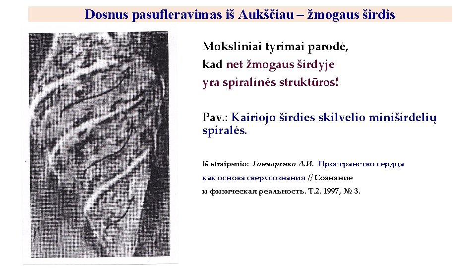 Dosnus pasufleravimas iš Aukščiau – žmogaus širdis Moksliniai tyrimai parodė, kad net žmogaus širdyje