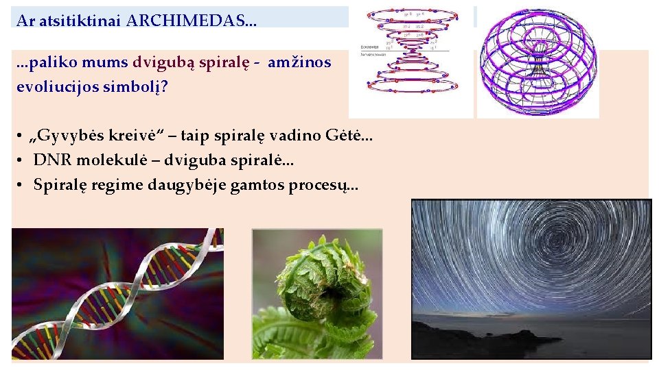 Ar atsitiktinai ARCHIMEDAS. . . paliko mums dvigubą spiralę - amžinos evoliucijos simbolį? •