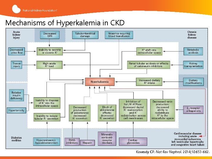 Mechanisms of Hyperkalemia in CKD Kovesdy CP. Nat Rev Nephrol. 2014; 10: 653 -662.