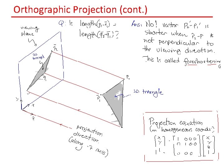 Orthographic Projection (cont. ) 