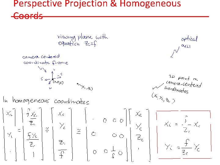 Perspective Projection & Homogeneous Coords 