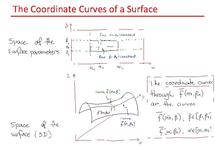 The Coordinate Curves of a Surface 