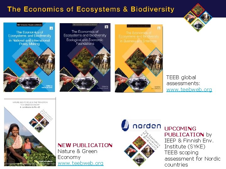 cc TEEB global assessments: www. teebweb. org NEW PUBLICATION Nature & Green Economy www. cc TEEB global assessments: www. teebweb. org NEW PUBLICATION Nature & Green Economy www.