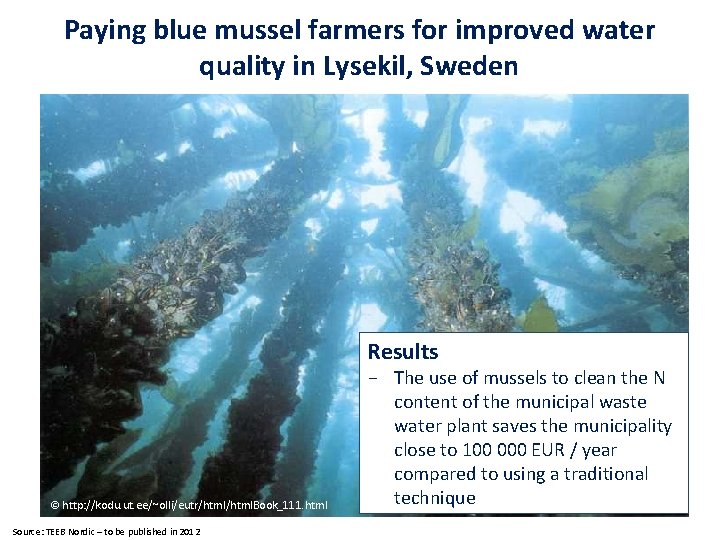 cc Paying blue mussel farmers for improved water quality in Lysekil, Sweden Results ©