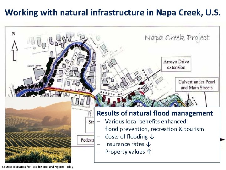 cc Working with natural infrastructure in Napa Creek, U. S. Results Result of natural