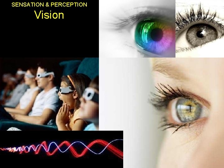 SENSATION & PERCEPTION Vision SENSATION & PERCEPTION Vision