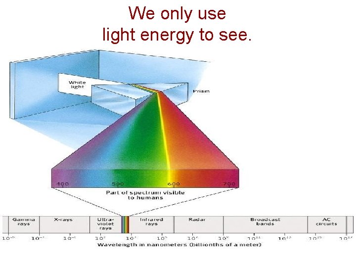 We only use light energy to see. We only use light energy to see.