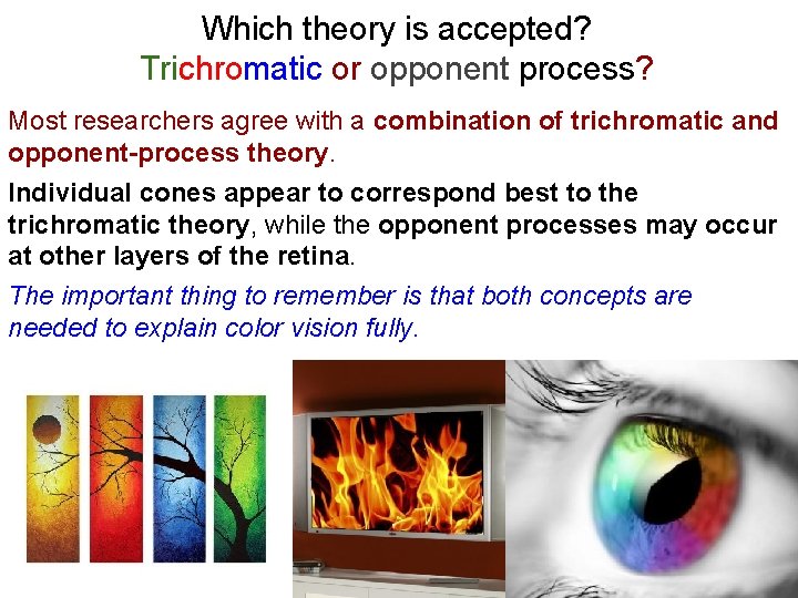 Which theory is accepted? Trichromatic or opponent process? Most researchers agree with a combination