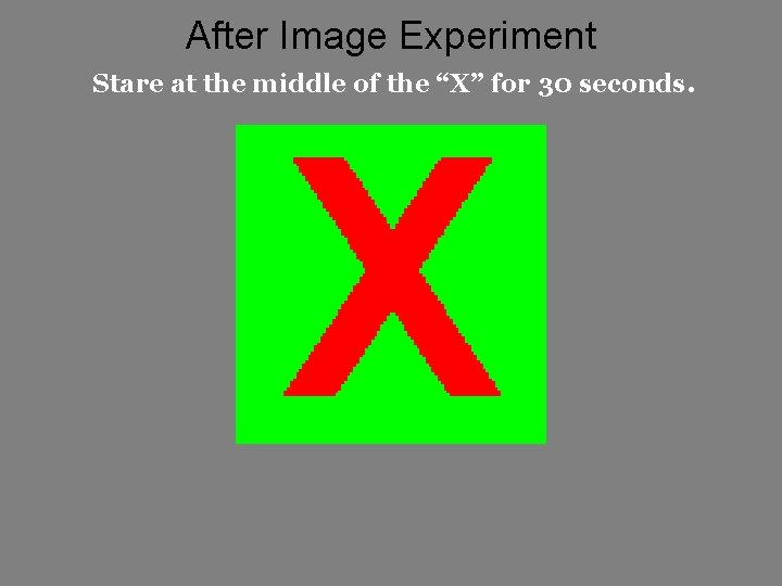 After Image Experiment Stare at the middle of the “X” for 30 seconds. After Image Experiment Stare at the middle of the “X” for 30 seconds.
