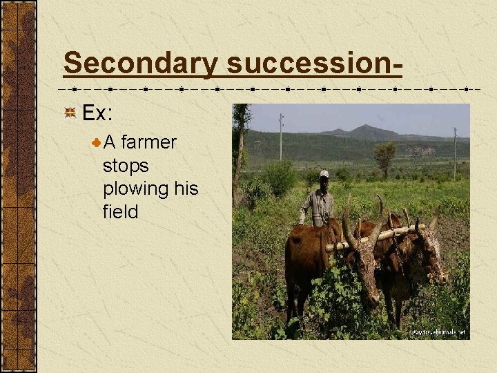 Secondary succession. Ex: A farmer stops plowing his field 