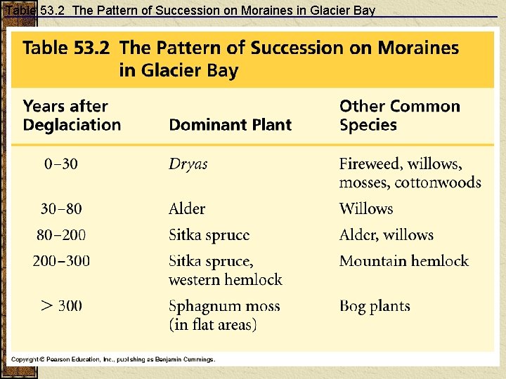 Table 53. 2 The Pattern of Succession on Moraines in Glacier Bay 