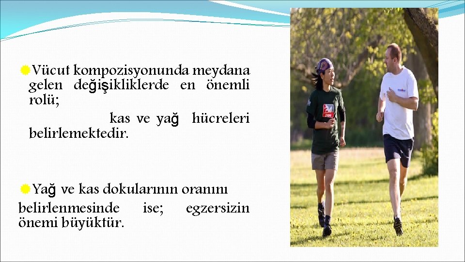 ®Vücut kompozisyonunda meydana gelen değişikliklerde en önemli rolü; kas ve yağ hücreleri belirlemektedir. ®Yağ