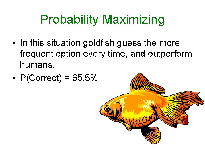 Probability Maximizing • In this situation goldfish guess the more frequent option every time, Probability Maximizing • In this situation goldfish guess the more frequent option every time,