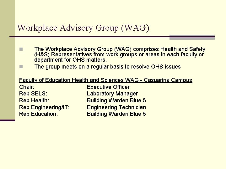 Workplace Advisory Group (WAG) n n The Workplace Advisory Group (WAG) comprises Health and