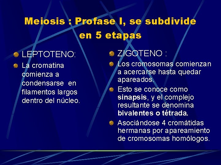 Meiosis : Profase I, se subdivide en 5 etapas LEPTOTENO: ZIGOTENO : La cromatina