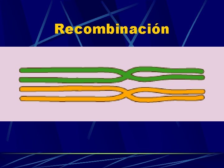 Recombinación 