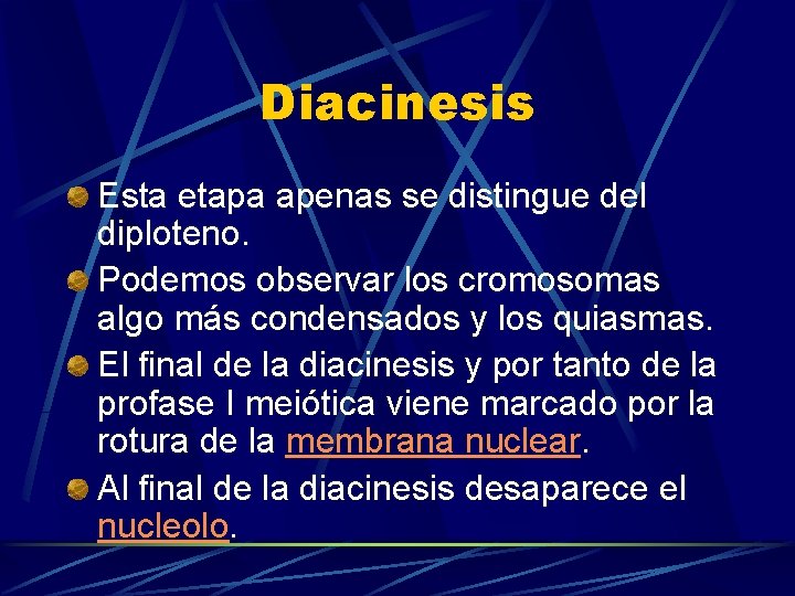 Diacinesis Esta etapa apenas se distingue del diploteno. Podemos observar los cromosomas algo más